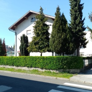 VARAŽDIN - KATNICA, BLIZINA CENTRA
