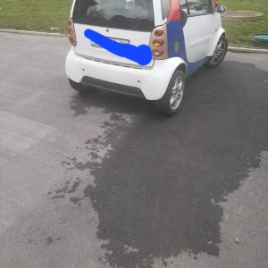 Prosajem Smart