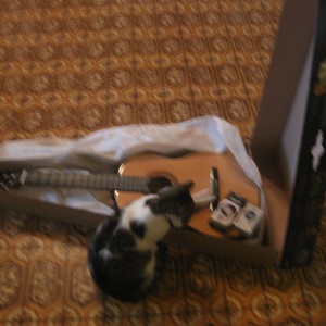 "NOVO" AKUSTIČNA GITARA "HOHNER" SA TUNEROM "MARSHALL"