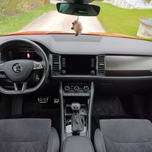 Skoda Kodiaq 2.0 TDI 4x4 Sportline DSG