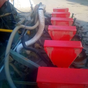 Sijalica OLT psk-a