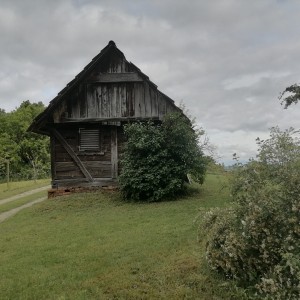 Voćnjak s kleti na prodaju