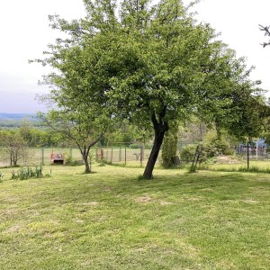 KUĆA DUGO SELO 162m 100 000 EUR