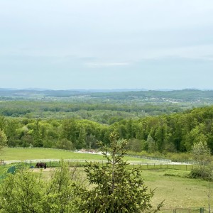 KUĆA DUGO SELO 162m 100 000 EUR