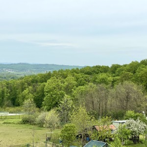 KUĆA DUGO SELO 162m 100 000 EUR