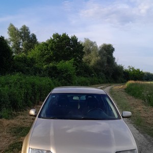 VW Bora