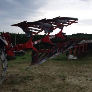 Vogel Noot C-plus M1020
