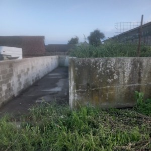Farma za krave