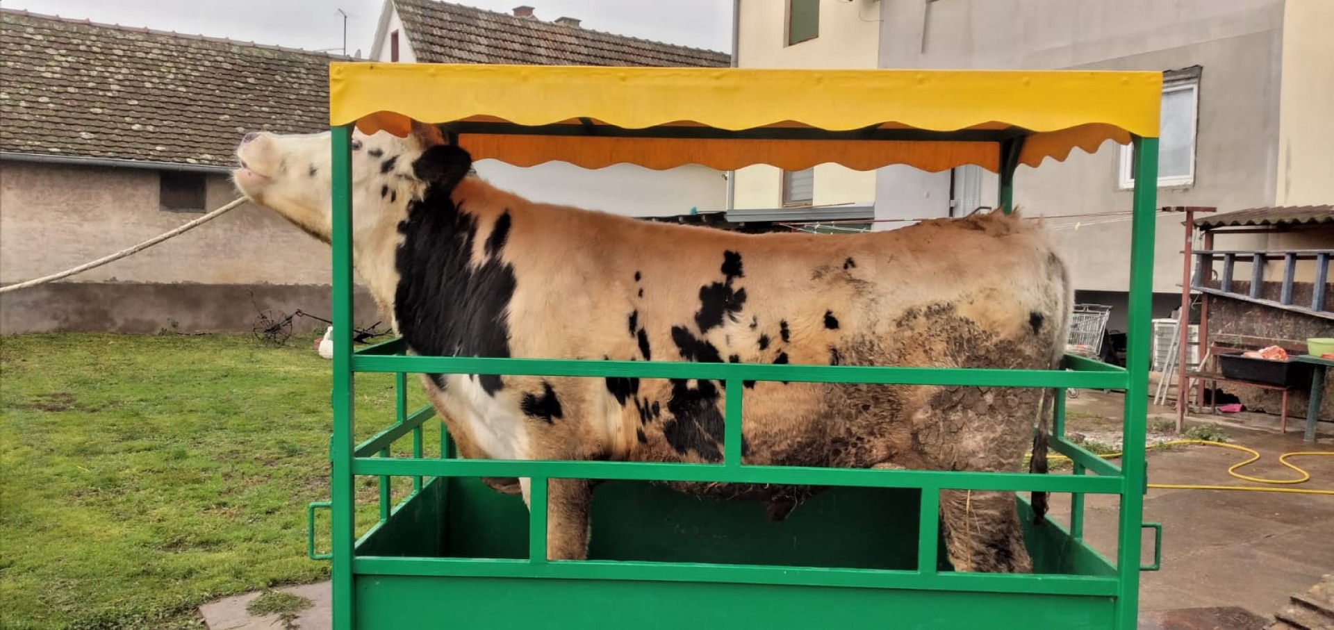 Stočna vaga do 3 tone