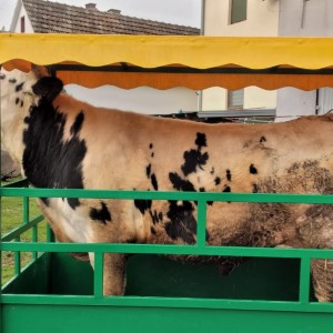 Stočna vaga do 3 tone