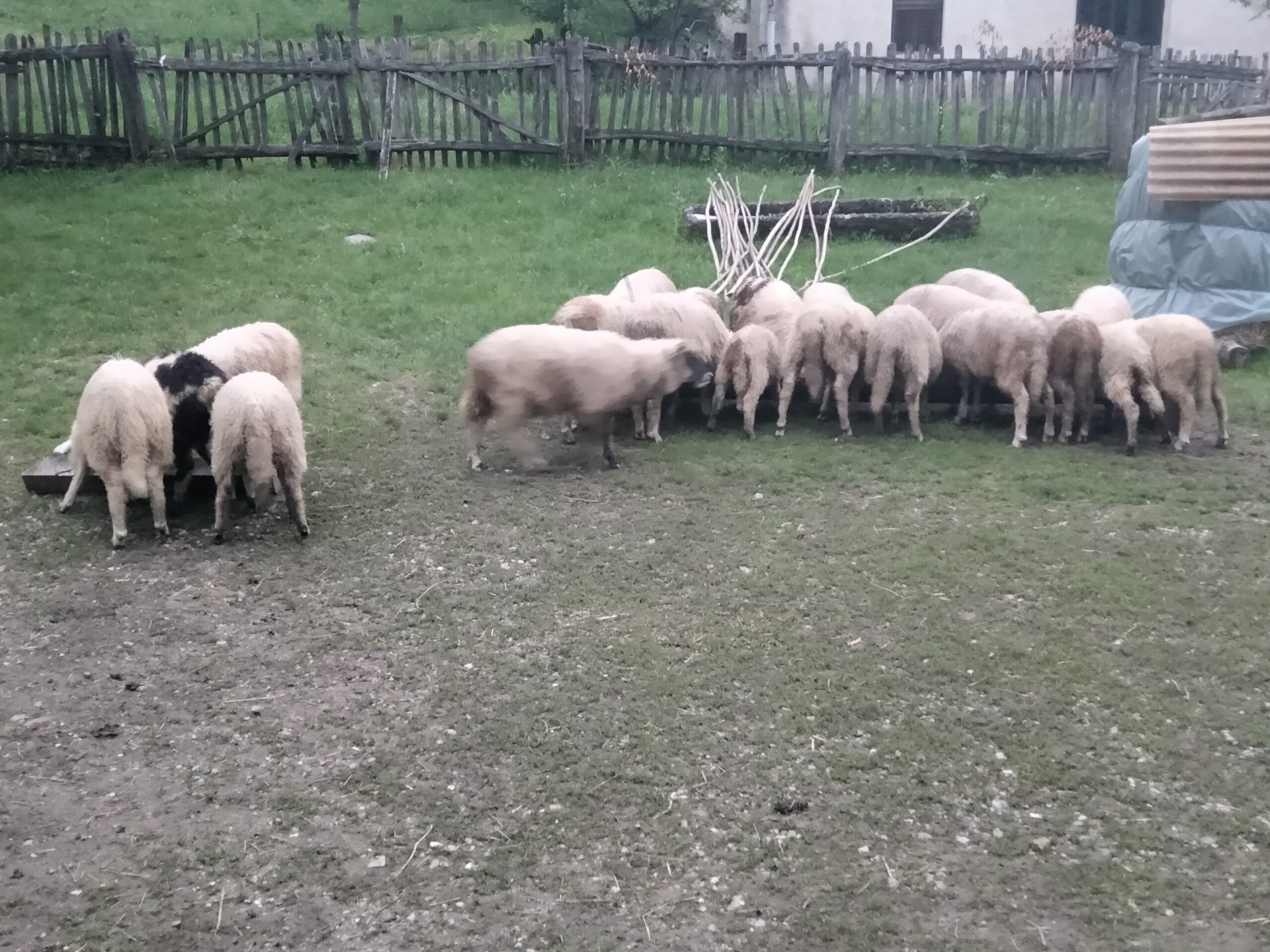 Prodaja