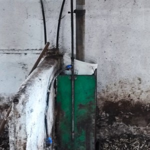 Hranilice za svinje Verba