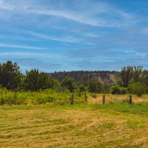 Prodaje se poljoprivredno zemljište 2,5 km od centra Drniša