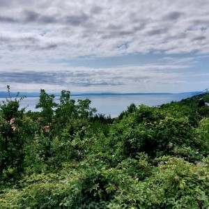OPATIJA - OKOLICA - VEPRINAC, zemljište 810m2