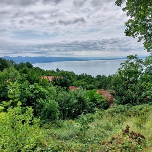 OPATIJA - OKOLICA - VEPRINAC, zemljište 810m2