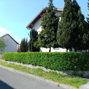 VARAŽDIN - KATNICA, BLIZINA CENTRA