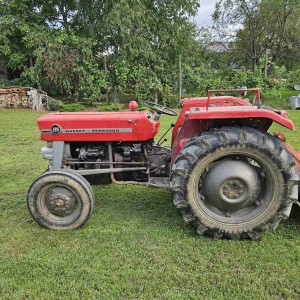 Massey Ferguson 135