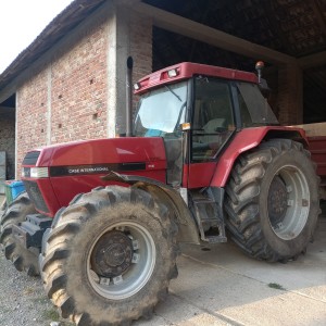 Case international