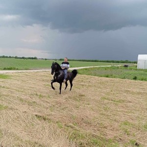Pastuh