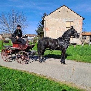 Pastuh