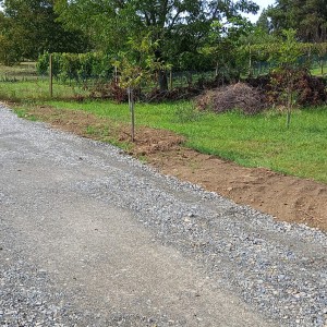 Prodajem plac za gradnju vikendice s voćnjakom