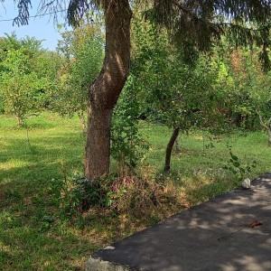 Prodajem plac za gradnju vikendice s voćnjakom