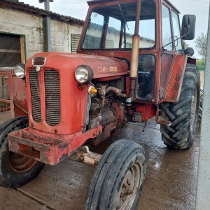 IMT 558