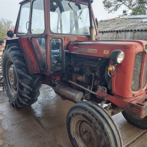 IMT 558