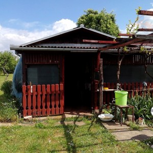 Voćnjak - Erdut