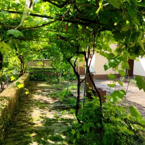 Stara slavonska kuća - Dalj