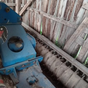 Roto drljaca raberberg