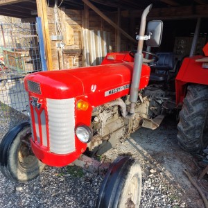 Traktor MF 65