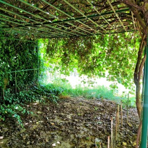 Obiteljska kuća - Retfala (Osijek)