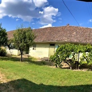 Kuće s pomoćnim prostorijama i velikom okućnicom - Beli Manastir