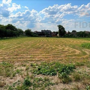 Kuće s pomoćnim prostorijama i velikom okućnicom - Beli Manastir