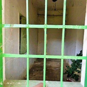 Kuće s pomoćnim prostorijama i velikom okućnicom - Beli Manastir
