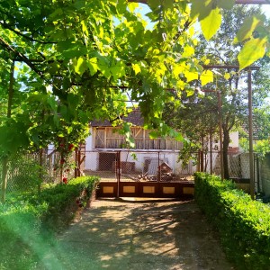 Stara slavonska kuća - Dalj