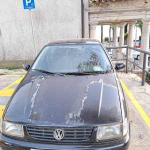 Polo