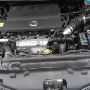 Nissan Primera P12