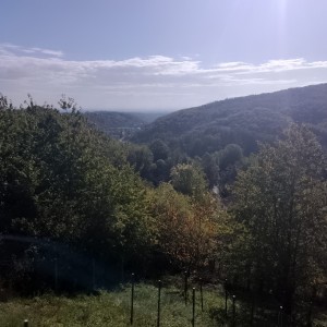 Prodajem Vikend kuću