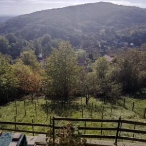 Prodajem Vikend kuću