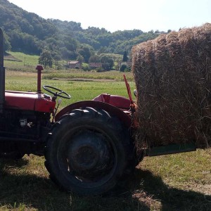 Rolo balirka Gallignani 9250