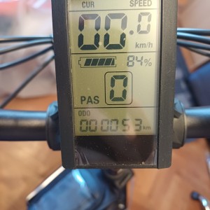 Električni bicikli - Samebike xwxl09 750w