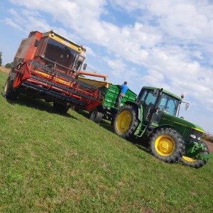 Zmaj 142