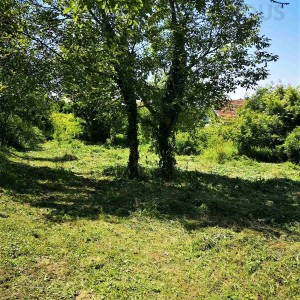 Zemljište za vikendicu površine 1248 m2 - Aljmaš