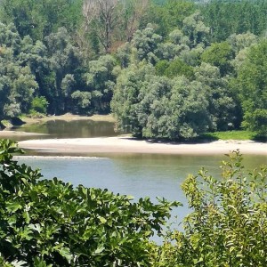 Zemljište za vikendicu površine 1248 m2 - Aljmaš