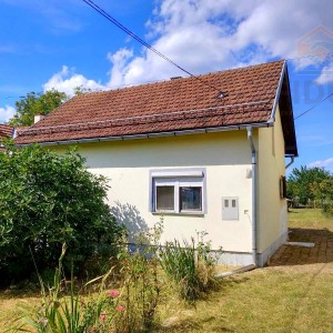 Kuća s okućnicom - Sarvaš