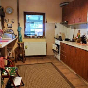 Obiteljska kuća s uređenom okućnicom - širi centar Osijeka