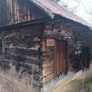 Drvena hrastova hiža