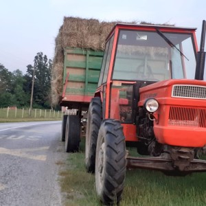 Štore 404